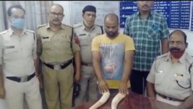 Photo of बिग ब्रेकिंग:-रायगढ़ जिले में पुलिस ने 4 लाख रुपये के 2 हाथी दांतो के साथ एक शख्स को किया गिरफ्तार..