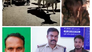 Photo of सारंगढ़ बिग न्यूज़: पत्रकार ने जान जोखिम में डाल कर गौ-तस्करी को किया नाकाम…सरपँच-ग्रामीण-और टीआई विवेक पाटले की सक्रियता से सर में पांव उठाके भागे गौ-तश्कर…छत्तीसगढ़ सरकार की योजना नरवा,गरवा, घुरवा हो रहा नाकाम!