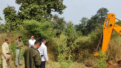 Photo of बैकुंठपुर कुंए में गिरा भालू का पूरा परिवार,वन विभाग को मिला सफलता,रेस्क्यू करके निकाला बाहर