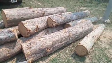 Photo of अवैध कीमती सागौन की लकड़ी की तस्करी