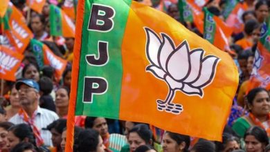Photo of भाजपा समर्थित प्रत्याशी का 4 सीटो पर कब्जा,जिला में भाजपा का लहर…..