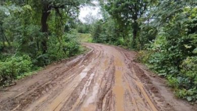 Photo of वन विभाग की लापरवाही, बारिश में कीचड़ से ग्रामीण परेशान