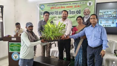 Photo of सारंगढ़ बिलाईगढ़ जिले के 74369 कृषकों को मिले 17.23 करोड़ रुपये