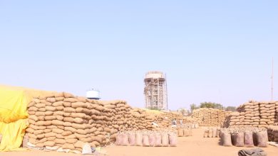 Photo of धान खरीदी में 4 मनमानी करने वालों पर कलेक्टर डॉ संजय कन्नौजे की बड़ी कार्रवाई