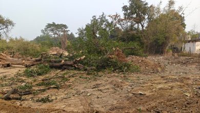 Photo of भालूमार,घरघोड़ा में पर्यावरण पर खुला हमला!